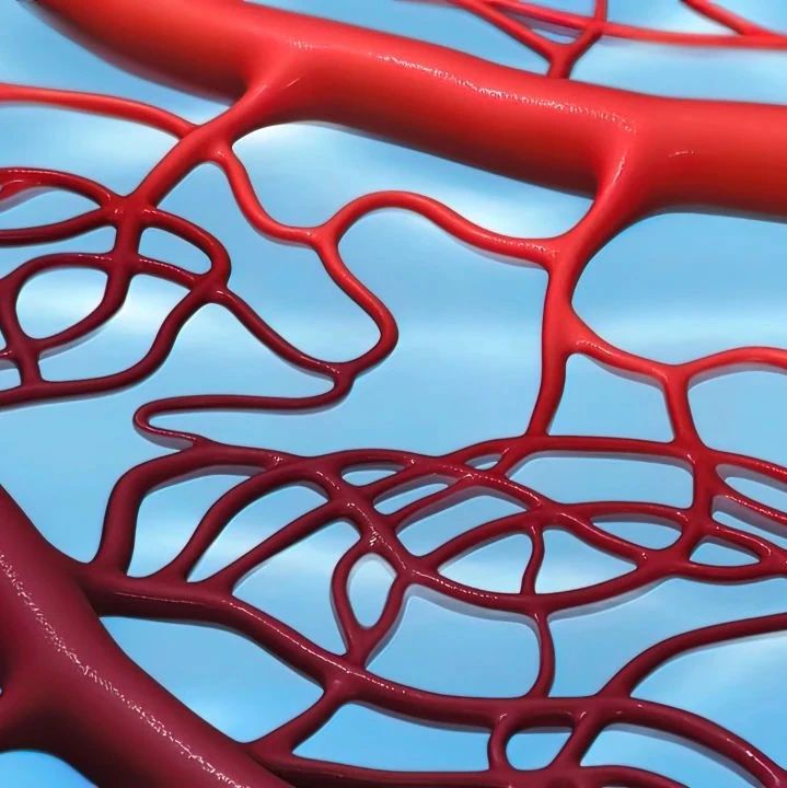 NEW IN HHT丨遗传性出血性毛细血管扩张症的潜在及新兴治疗'