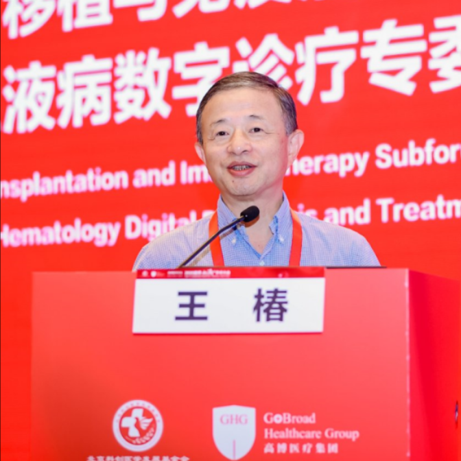 王椿教授：TBI-rATG方案突破R/R PTCL治疗困境，整合模式引领治疗新纪元丨2025高博血液学术大会'