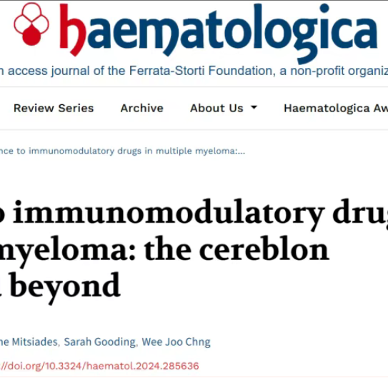 多发性骨髓瘤对免疫调节药物的耐药性：从cereblon通路到新机制'