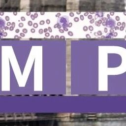 MPN 2025丨第17届国际骨髓增殖性肿瘤大会即将来袭，领域前沿热点抢先看！'