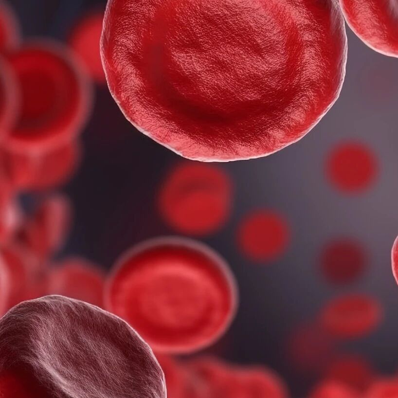 全新CELMoD药物治疗MM深度缓解数据亮眼：“诺奖机制”靶向蛋白降解策略迎监管加速'